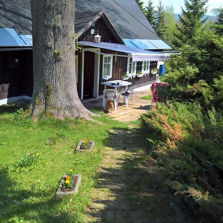Chata V Srdci Krkonos Villa Kořenov Exterior foto