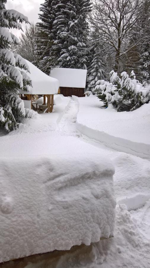 Chata V Srdci Krkonos Villa Kořenov Exterior foto