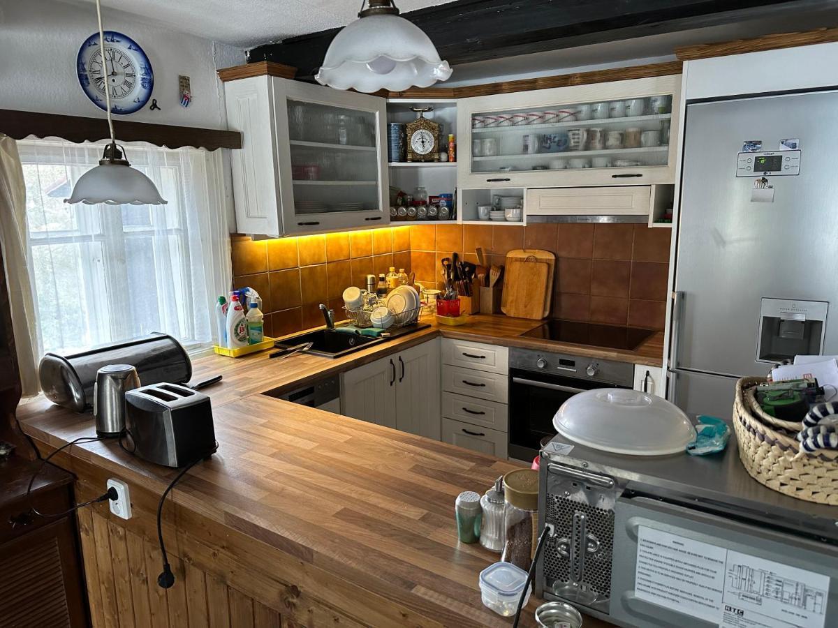 Chata V Srdci Krkonos Villa Kořenov Exterior foto