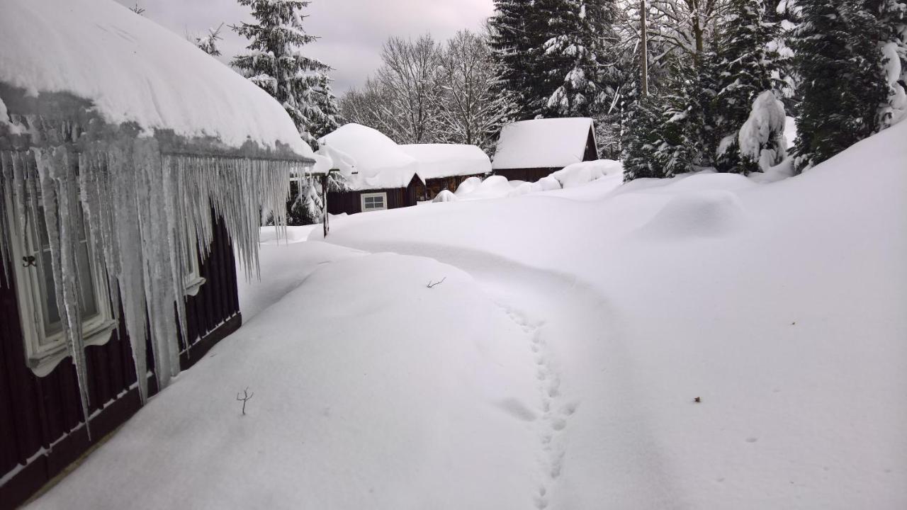 Chata V Srdci Krkonos Villa Kořenov Exterior foto